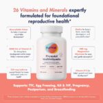 1746734929 fertility trio prenatal vitamin lemon dha fertility booster choline folate omega 3 coq10 nac 26 vital nutrients dietitian formulated non gmo 3rd party tested 30 servings.jpg