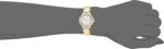 1746742489 citizen ladies silhouette crystal eco drive watch 3 hand date stainless steel.jpg