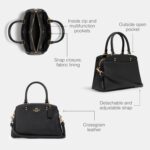 1746861924 coach unisex mini lillie carryall.jpg