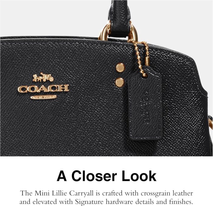 1746861926 coach unisex mini lillie carryall.jpg