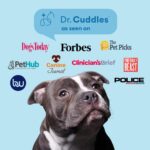 1747072541 readyrescue dog first aid kit essential activated charcoal detox for dogs cats pets animal first aid kit dog medical emergency kit dog travel essentials 30g 3 vials of 30g.jpg