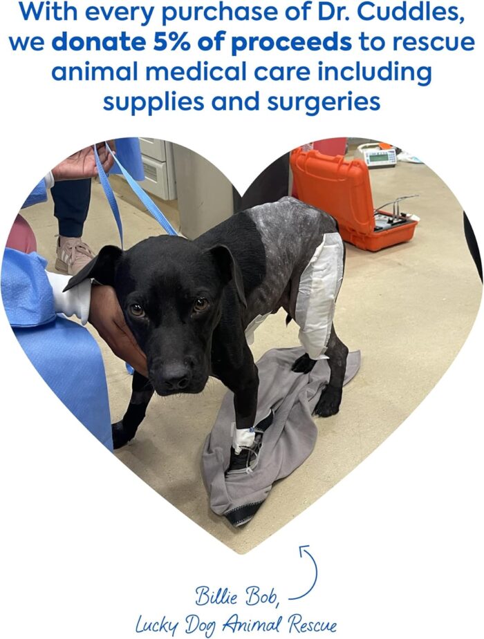 1747072547 readyrescue dog first aid kit essential activated charcoal detox for dogs cats pets animal first aid kit dog medical emergency kit dog travel essentials 30g 3 vials of 30g.jpg