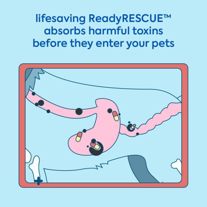 1747072548 readyrescue dog first aid kit essential activated charcoal detox for dogs cats pets animal first aid kit dog medical emergency kit dog travel essentials 30g 3 vials of 30g.jpg