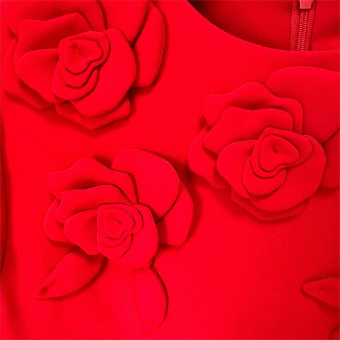 1747093599 women fashion 2025 designer o neck short sleeve flowers appliques mini dress gowns.jpg
