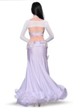 1747294934 royal smeela belly dance costume set for women belly dancing skirts bra and belt sleeves professional suit 4pcs mermaid skirt.jpg