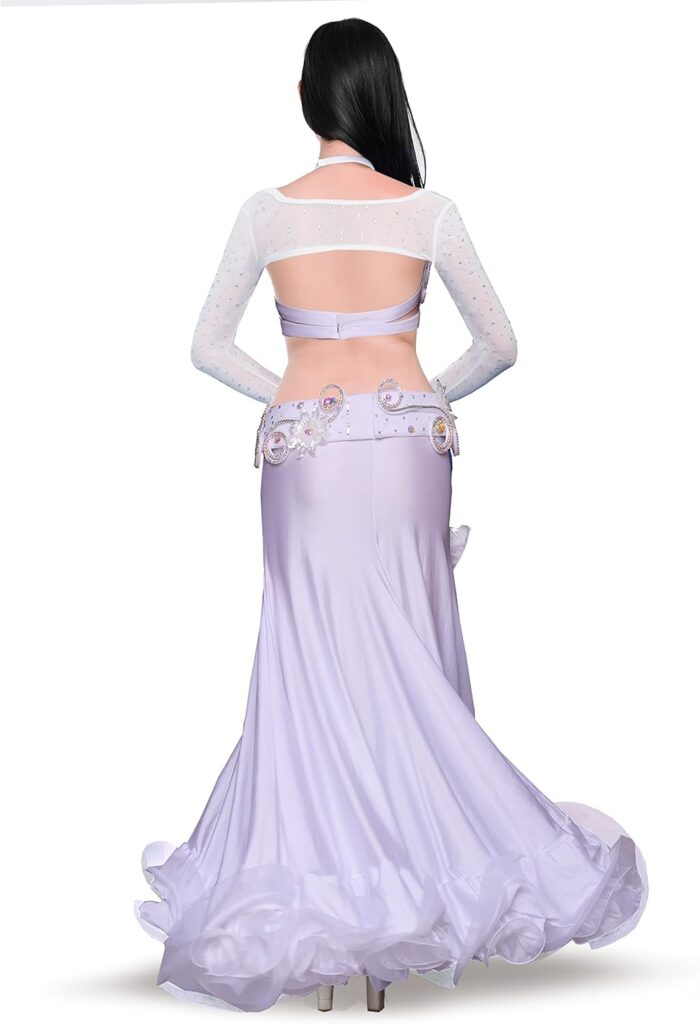 1747294934 royal smeela belly dance costume set for women belly dancing skirts bra and belt sleeves professional suit 4pcs mermaid skirt.jpg