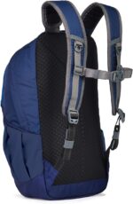1747338978 pacsafe venturesafe g3 25 liter anti theft travel backpackdaypack fits 15 laptop lakeside blue.jpg