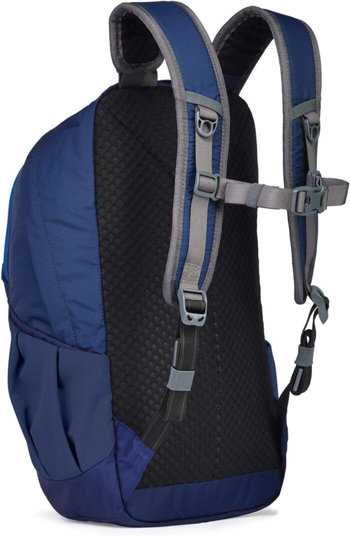 1747338978 pacsafe venturesafe g3 25 liter anti theft travel backpackdaypack fits 15 laptop lakeside blue.jpg