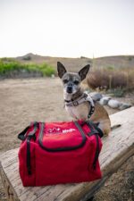 1747516996 pet vet medic cat dog first aid kit dog emergency kit dog health supplies dog wound care with dog thermometer dog bandages for wounds dog essentials dog supplies dog travel bag large.jpg