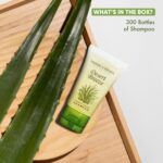 1747638319 shampoo travel size hotel toiletries 1 oz. flip cap case of 300.jpg