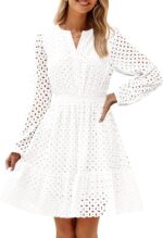 Zesica womens 2025 long sleeve mini dress spring v neck hollow out eyelet embroidery ruffle a line swing short dresses.jpg