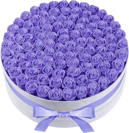 Luxury Preserved Roses Gifts for Women 100 Roses in Velvet Box Flowers for Delivery Presereved Flowers Birthday Gifts for Her Mom and Wife Lavender.jpg