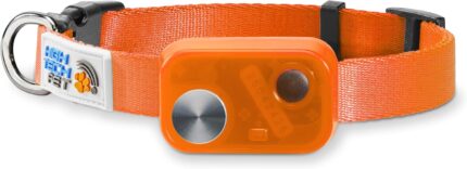 MS 5 Econ Series Automatic Pet Door Collar by High Tech Pet Brand Value Priced Dependable Performance Waterproof Rugged Battery Included USA Support Orange.jpg